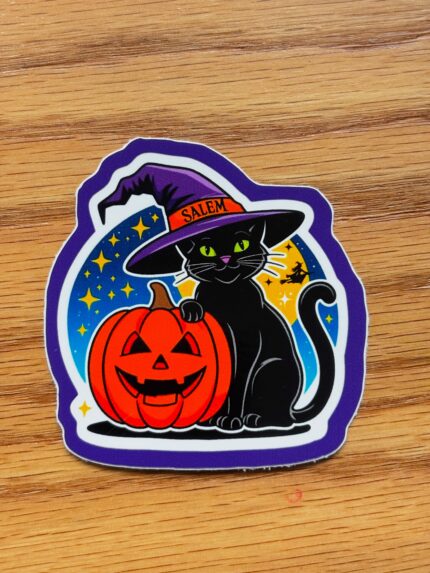 salem black cat