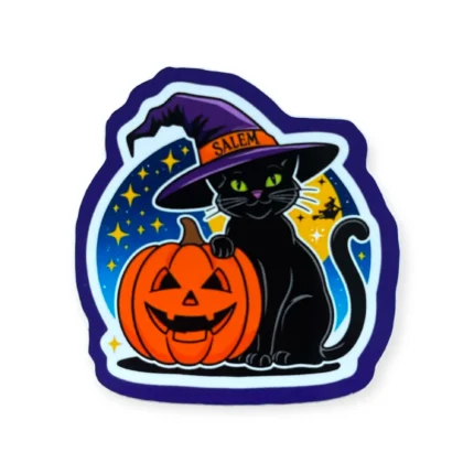 black cat witch hat