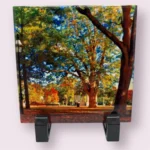 Salem Custom Tiles